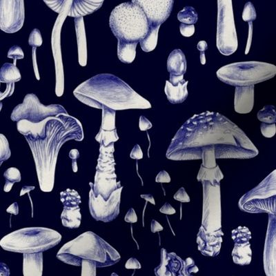 Dark blue mushrooms