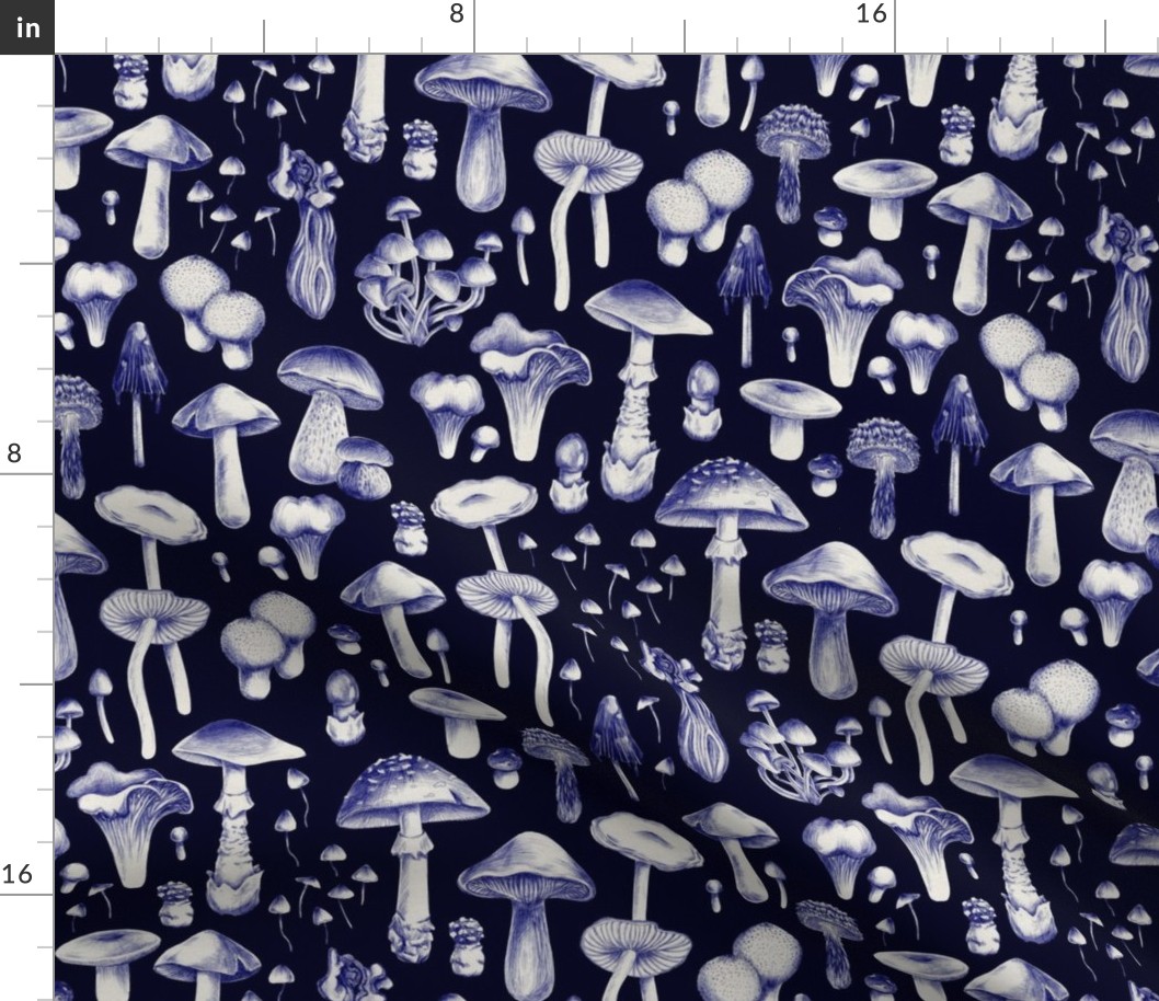 Dark blue mushrooms