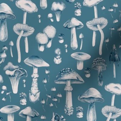 Blue mushrooms