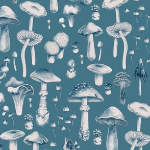 Blue mushrooms