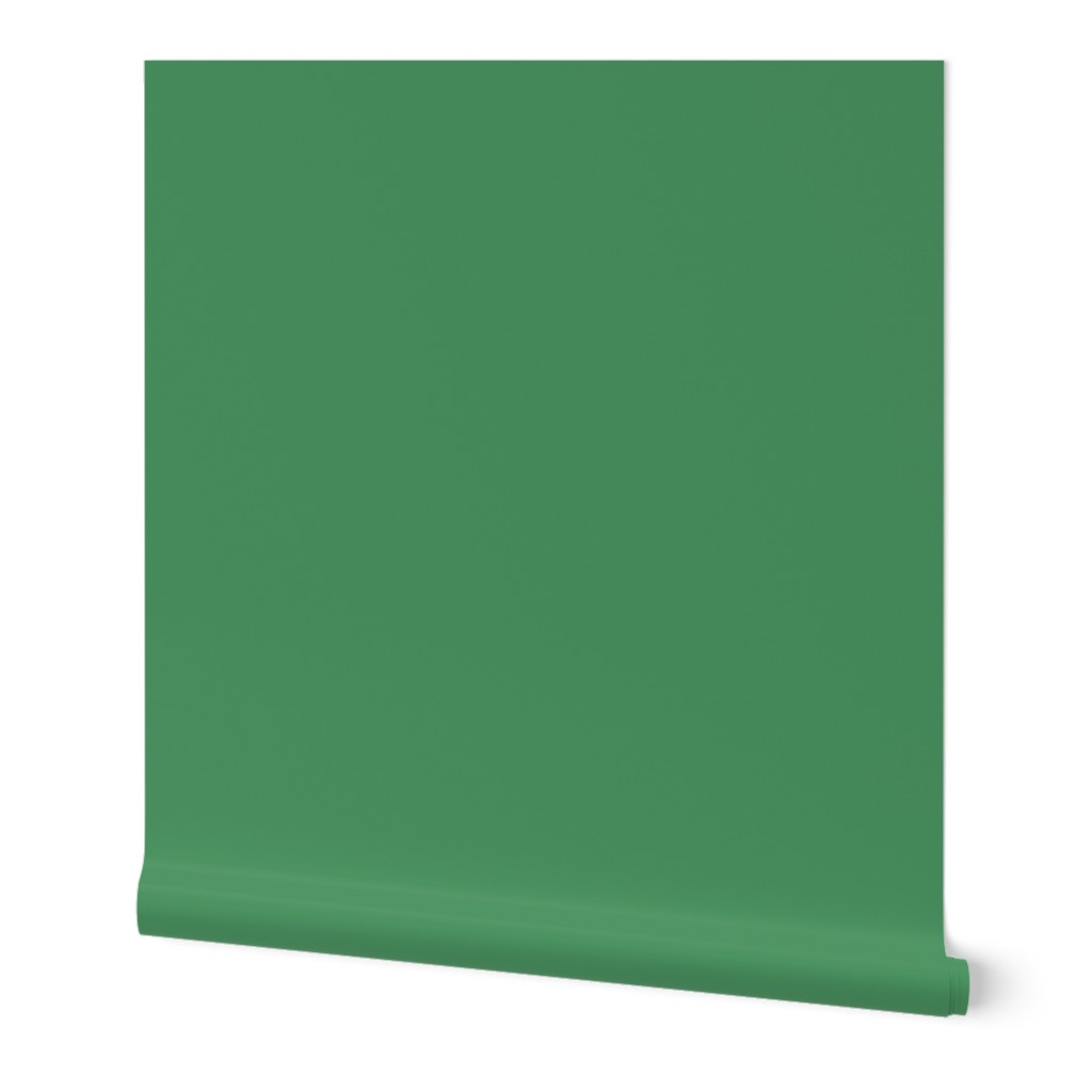 solid forest green