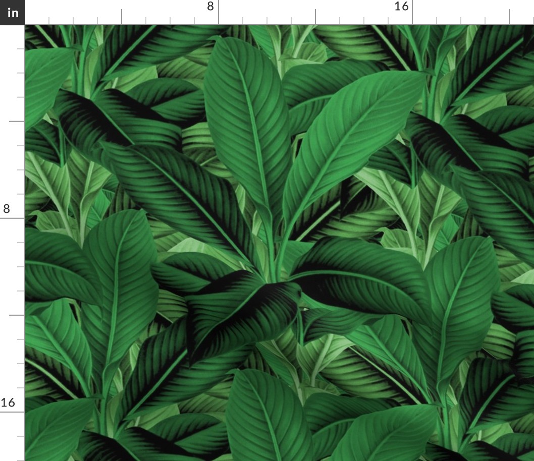 Palm In Palm ~ Jungle Green ~ Medium