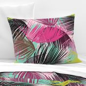 Tropical Palm Leaves