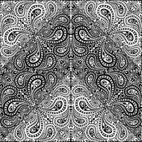 Black and White Paisley Counterchange Chevron