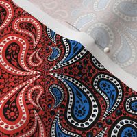 Counterchange Paisley Bandana Chevron 2