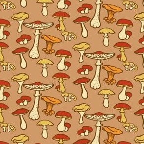 Edible Mushrooms  // Brown