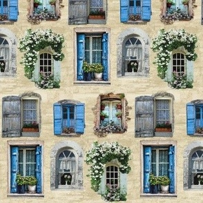 Windows and Windowboxes