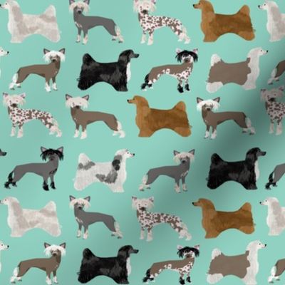 chinese crested dogs hairless and powderpuff dogs cute dog pet dog hairless chinese crested dog fabric