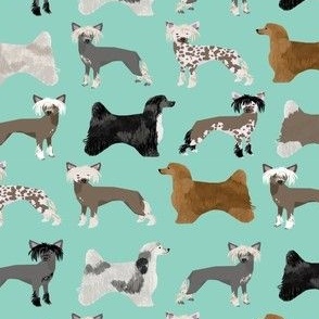 chinese crested dogs hairless and powderpuff dogs cute dog pet dog hairless chinese crested dog fabric