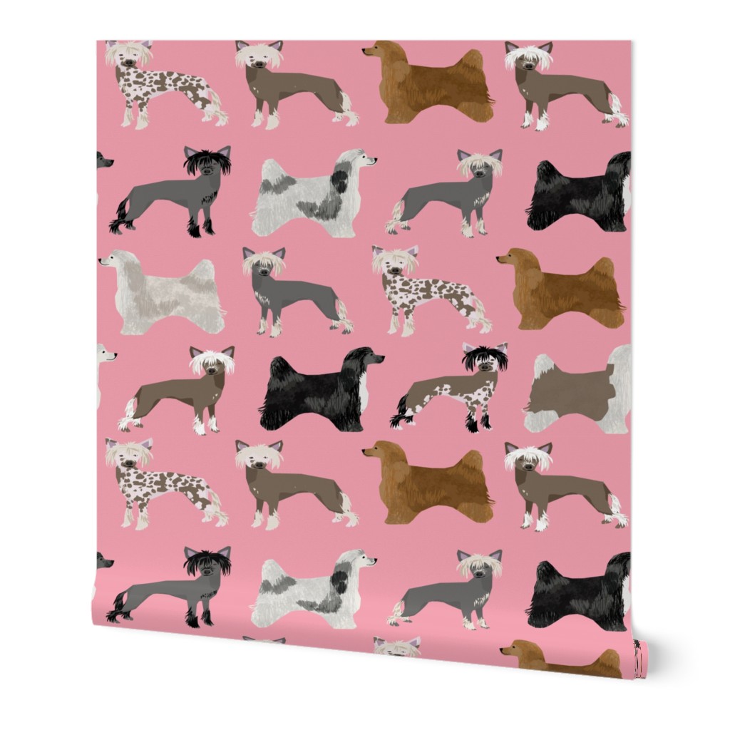 chinese crested dogs hairless dog powderpuff cute dog pets pet design fabric for dog lovers