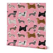 chinese crested dogs hairless dog powderpuff cute dog pets pet design fabric for dog lovers