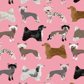 chinese crested dogs hairless dog powderpuff cute dog pets pet design fabric for dog lovers