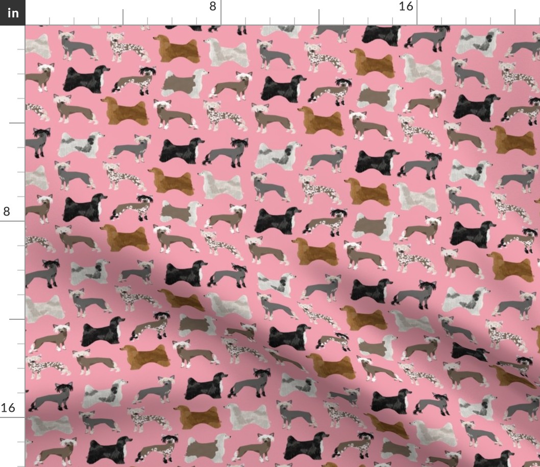 chinese crested dogs hairless dog powderpuff cute dog pets pet design fabric for dog lovers