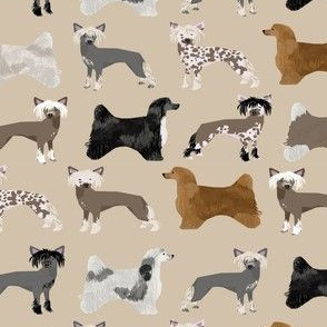chinese crested dog hairless powderpuff cute dog pets pet dog fabric 