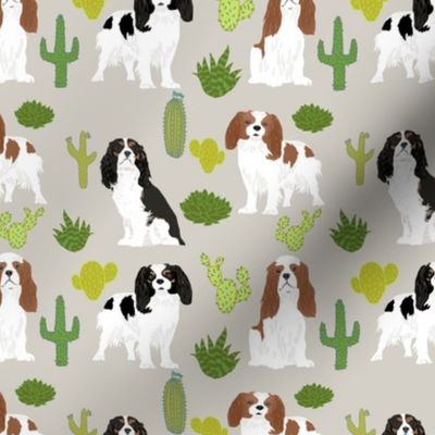 cavalier king charles spaniel dog with cute cactus trendy succulents dog fabric 