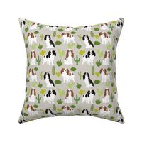 cavalier king charles spaniel dog with cute cactus trendy succulents dog fabric 