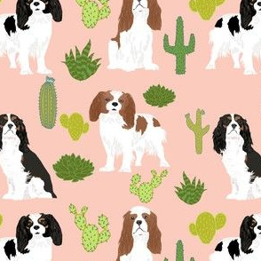 cavalier king charles spaniel blush cactus cacti cute dog dogs sweet pets