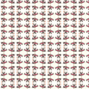 draculapattern