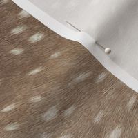 Railroaded Deer Hide // Taupe