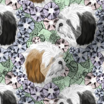 Floral Shih Tzu portraits