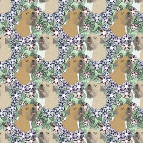 Floral Soft coated Wheaten Terrier portraits