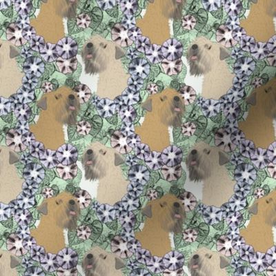 Small Floral Soft coated Wheaten Terrier portraits