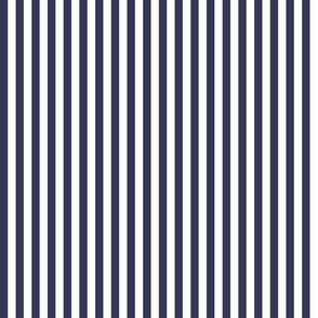 Navy Stripe