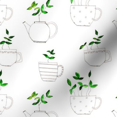 Tea plants in tea cups