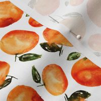 Watercolor tangerines