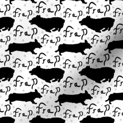 Pembroke Welsh Corgi frap - small black and white