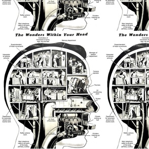 body brains heads cross section biology science spinal chord machines machinery secretary manager cameras lens infographics pop art charts reflex air ducts trachea fuel pipes superintendent air conditioning screen chisels grinders vintage retro kitsch eso