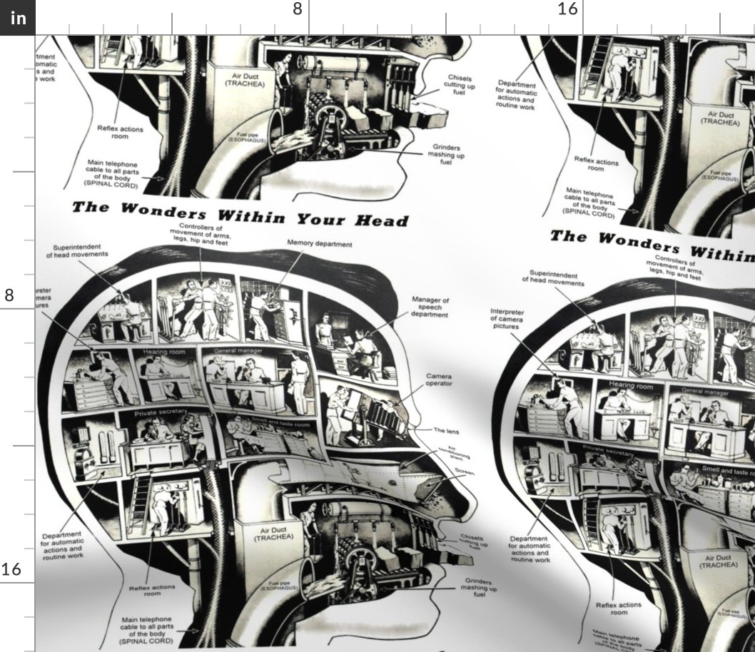 body brains heads cross section biology science spinal chord machines machinery secretary manager cameras lens infographics pop art charts reflex air ducts trachea fuel pipes superintendent air conditioning screen chisels grinders vintage retro kitsch eso