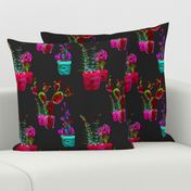 GARDENING NIGHT GLOW red fuchsia aqua fern cactus flowers