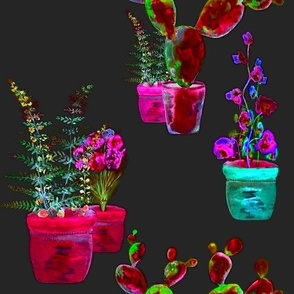 GARDENING NIGHT GLOW red fuchsia aqua fern cactus flowers