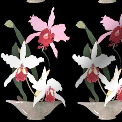  orchids flowers floral pots plants tropical vintage retro