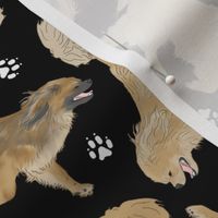 Trotting Tibetan Spaniels and paw prints - black