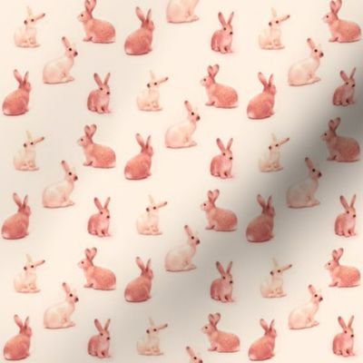 Lots of Bunnies in Peachy