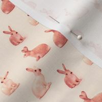 Lots of Bunnies in Peachy