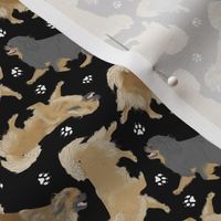 Tiny Trotting Tibetan Spaniels and paw prints - black