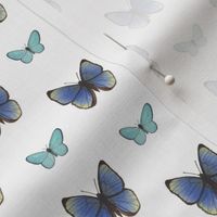 Small Scale Blue Watercolor Butterflies