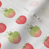 Small Scale Watercolor Tomatoes