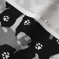 Trotting Standard Schnauzers and paw prints - black