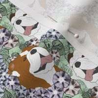 Small Floral Bulldog portraits