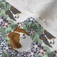 Small Floral Shetland sheepdog portraits