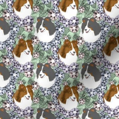 Small Floral Shetland sheepdog portraits