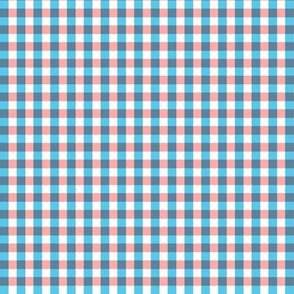 Faded Gingham