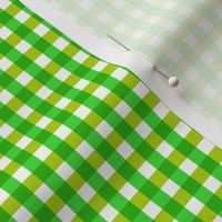 Verdant Gingham