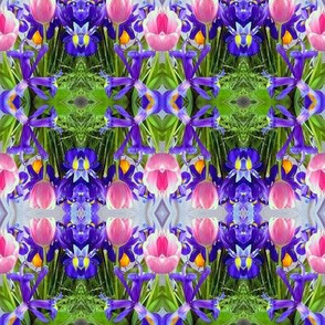 tulip kaleidoscope.