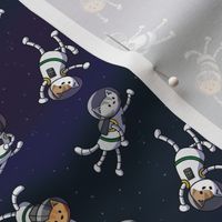 Cats in Space