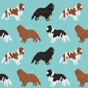 cavalier king charles spaniel fabric cute dog pet dogs blemein fabric ruby cavalier black and tan dog cute dog coat dog breed fabric